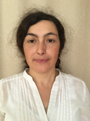 Воспитатель ИЗО Дмитренкина Елена Николаевна Воспитатель ИЗО Дмитренкина Елена Николаевна